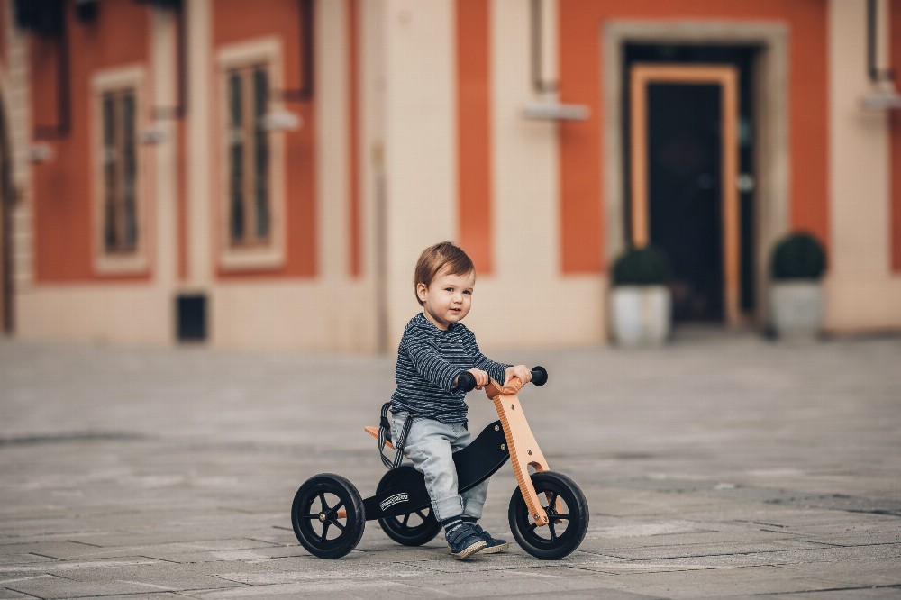 FreeON drveni tricikl i balans bicikl Rider 2 u 1, bijeli – prikaz 5