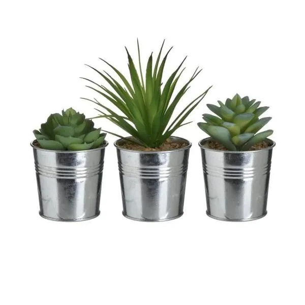 INART Sukulent 17cm sorto - prikaz proizvoda