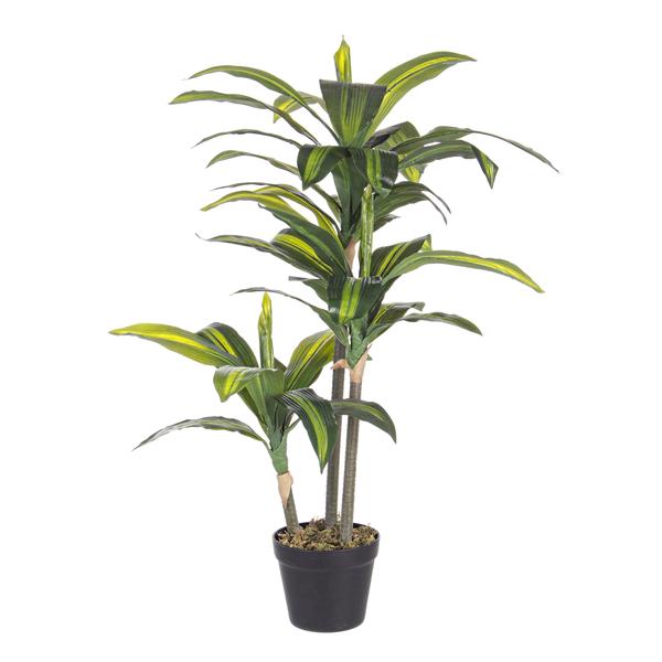 Bizzotto dračena 88 cm zelena