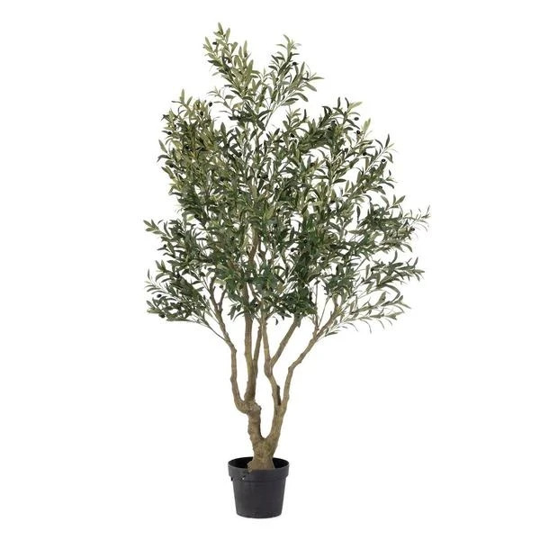 Bizzotto stablo masline 210 cm u saksiji