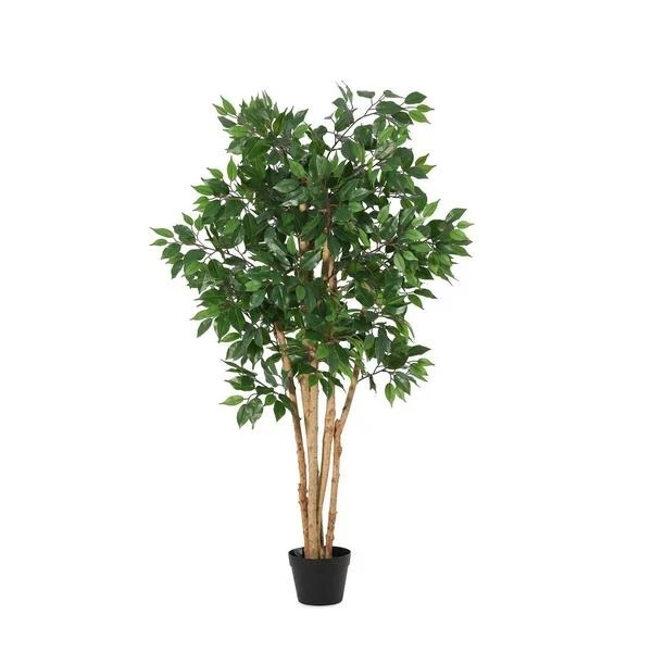 Bizzotto fikus 145 cm u saksiji