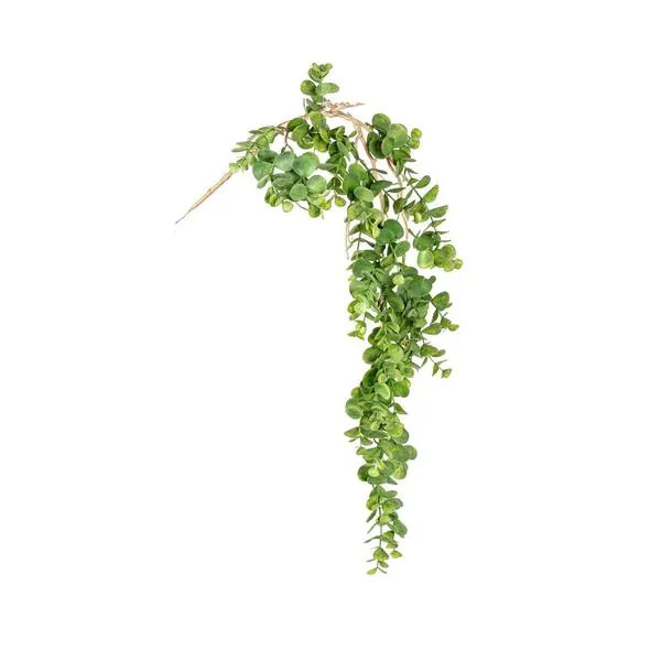 Bizzotto viseća biljka DISCHIDIA 92 cm zelena