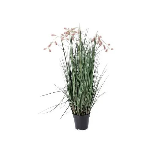 Bizzotto grevillea 100 cm u saksiji roza