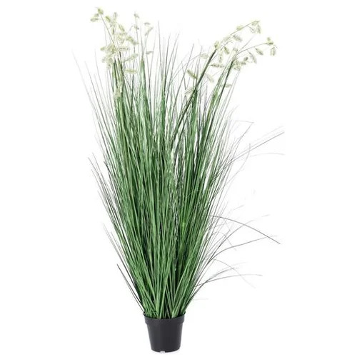 Bizzotto grevillea 150 cm u saksiji bijela