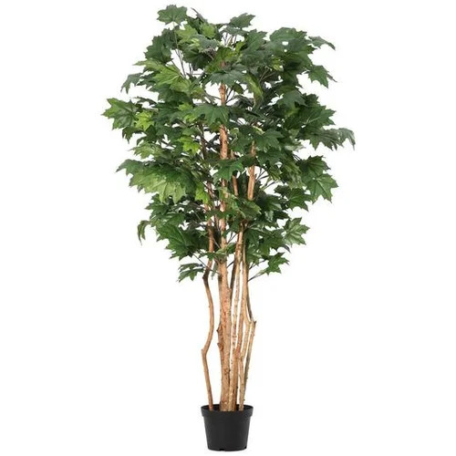 Bizzotto kanadski javor 195 cm pvc
