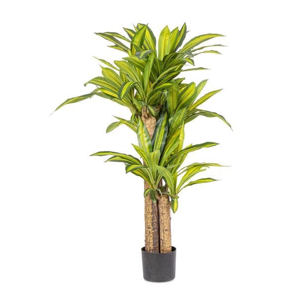 Bizzotto dračena 130 cm zelena