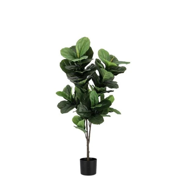 Bizzotto fikus 120 cm u saksiji