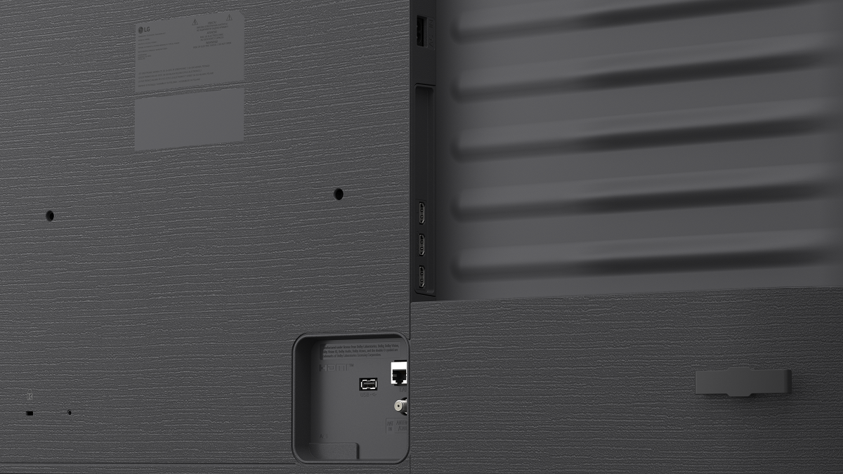 LG NanoCell 55NU8E0B3LA završni prikaz