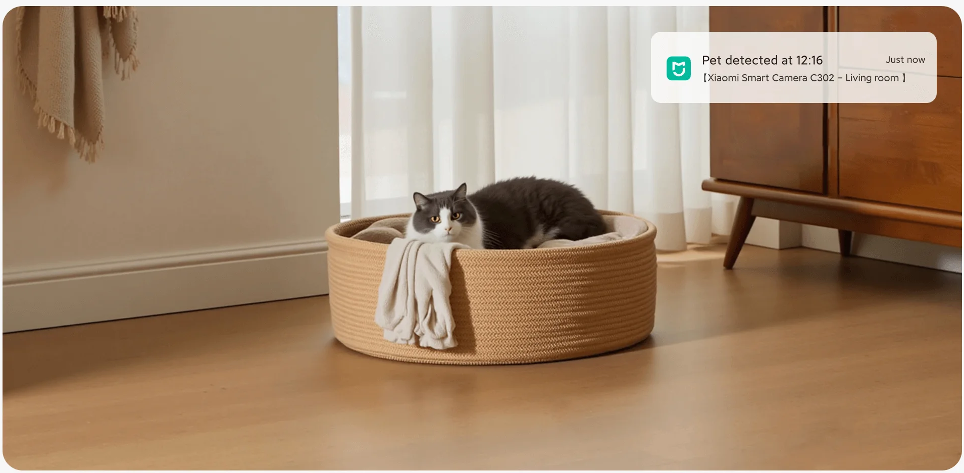 Xiaomi Smart Camera C302 praćenje kućnih ljubimaca